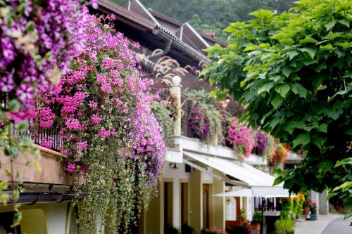 a bunch of flowers hanging off the side of a building at Tourist farm Pri Andrejevih in Narin