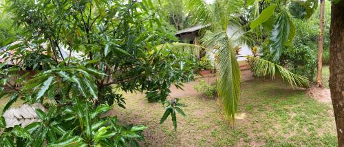 Gallery image of Thambapanni safari hostel in Moragaswewa