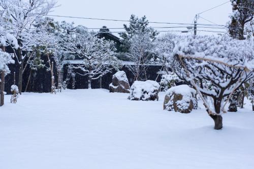 a yard covered in snow with trees and a house at こもる五所川原 in Goshogawara