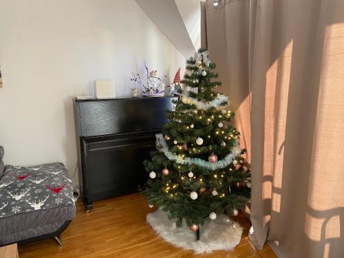 a christmas tree sitting in a living room at Apartmán Juli in Tatranská Lomnica