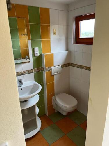a bathroom with a toilet and a sink at Chata se zahradou v Liberci in Liberec