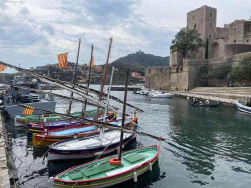 un grupo de barcos atracados en el agua junto a un castillo en 6CONV20 charmante maison de village au cœur du faubourg en Collioure