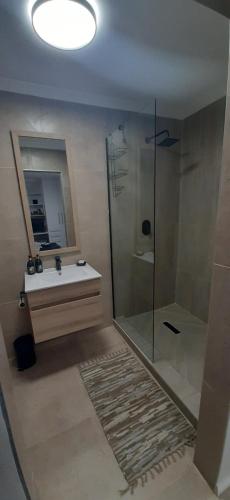 y baño con ducha, lavabo y espejo. en Beachview Guest Suites Port Elizabeth, en Beach View
