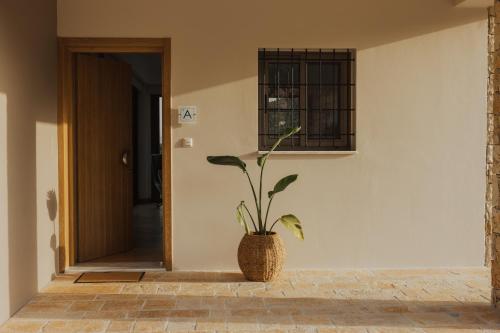 a plant in a vase sitting in a hallway at 2S Villas Resort in Sivota