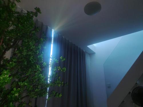 a room with a window with a curtain and a plant at Chaoyang Joy City Hardcover Apartment in Beijing