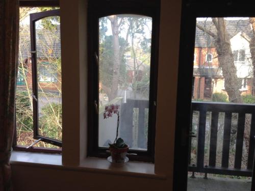 a window with a vase with a flower in it at Cozy bedroom in well equipped apartment in Leatherhead