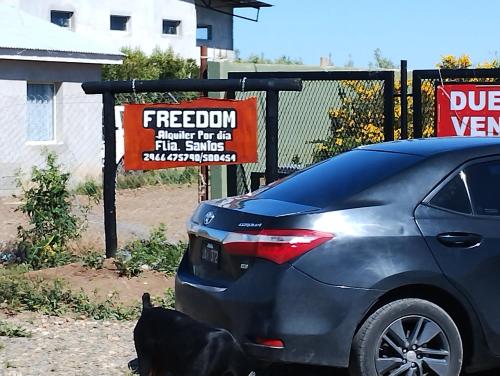 Freedom Ame – Photos 2