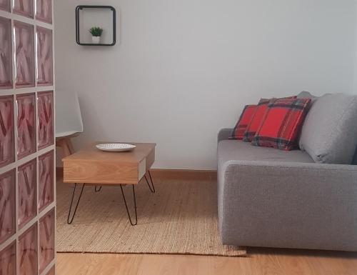 a living room with a couch and a table at Catedral Centro- 4 plazas in Burgos