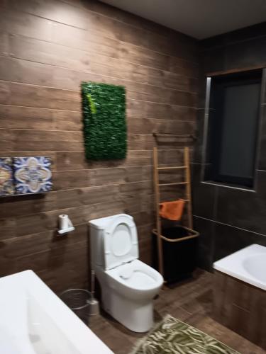 La salle de bains est pourvue de toilettes et d'un lavabo. dans l'établissement Passadiços do paiva house, à Cinfães