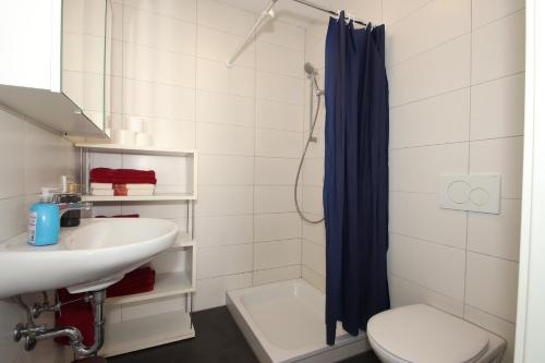 e bagno con lavandino, servizi igienici e doccia. di Apartments/Wohnungen direkt in Aschaffenburg a Aschaffenburg