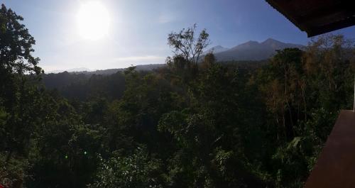 a view of a forest with mountains in the background at Poetri Bungalow & Restaurant in Senaru