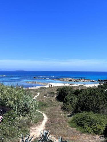 App Mar de Pujols 3 - FormenteraLodge