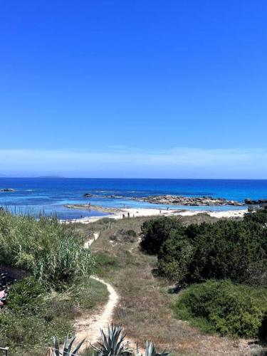 App Mar de Pujols 4 - FormenteraLodge