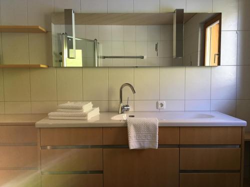 ein Bad mit einem Waschbecken und einem Spiegel in der Unterkunft Bizau 361 in Bizau