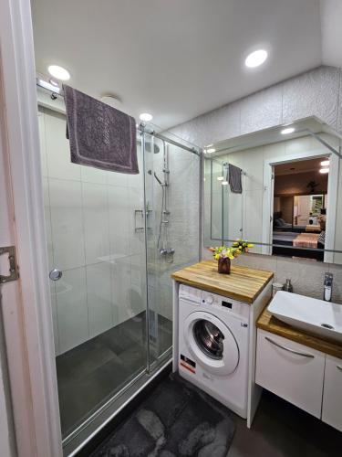 a bathroom with a washing machine and a shower at Old Tbilisi Apartments1 in Tbilisi City