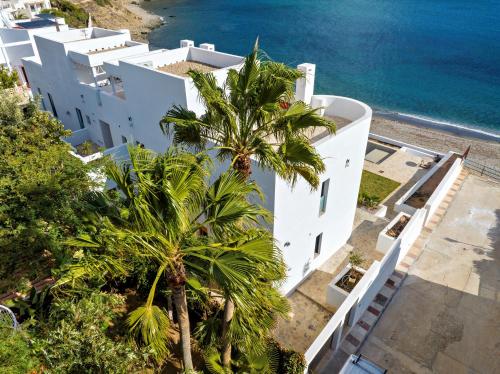 an aerial view of a white building with a palm tree at CasaCarbonito in Carboneras