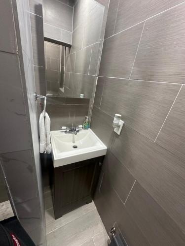 ein Bad mit einem Waschbecken und einem Spiegel in der Unterkunft Upscale Super LUX Private 2br Near NYC in New Rochelle