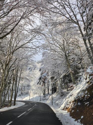 an empty road with snow covered trees on the sides at Ecouter le silence à LALOUVESC in Lalouvesc