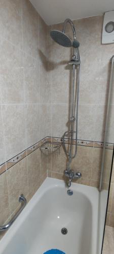 a shower in a bathroom with a bath tub at Casa Elena in Fuengirola