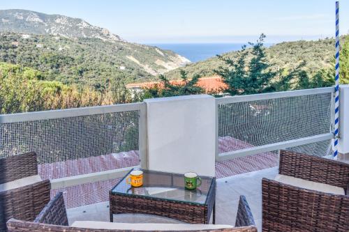 Nest View House