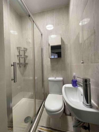 a bathroom with a toilet and a sink and a shower at Serviced Apartment- 1 Bed-Next To Train Station in Sleightholme