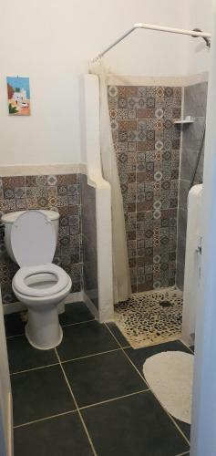 a bathroom with a toilet and a shower at Dar Chick Yahia Ile De Djerba in Mezrane