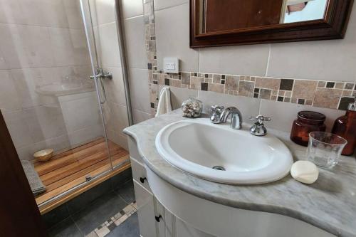 a bathroom with a sink and a shower at Charming Loft in San Isidro