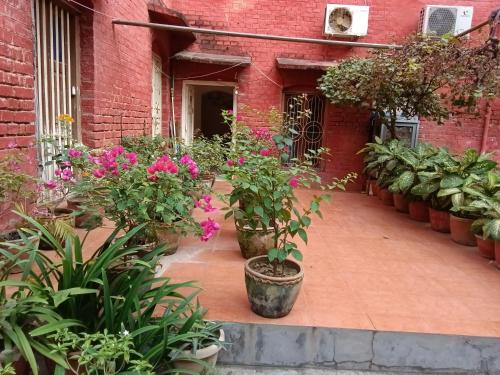 Hotel shivanand – Photos 4