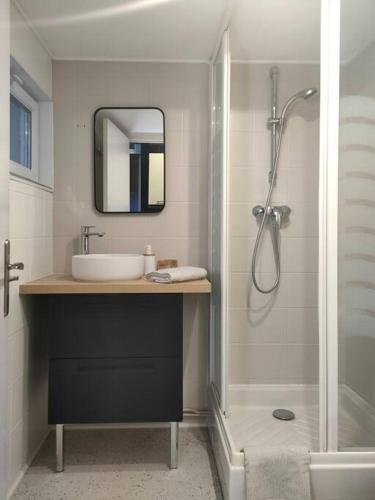 une salle de bain avec un lavabo et une douche dans l'établissement La Maison Dakoté 10 min à pied de l'hyper centre ville, à Amiens
