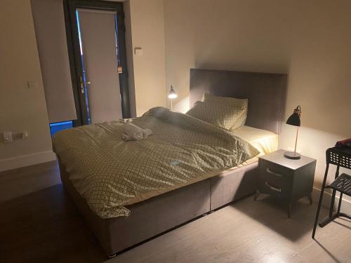 um quarto com uma cama com um bicho de peluche em A private room,A private bathroom em Dublin