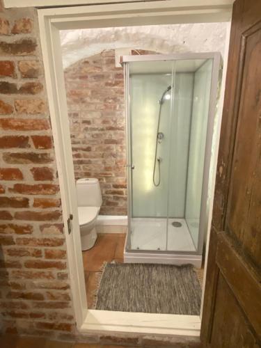 a bathroom with a glass shower with a toilet at Pikk Old town apartment in Tallinn