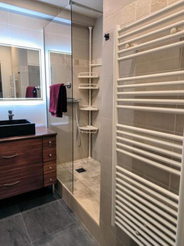 une salle de bain avec une douche, un lavabo et un miroir dans l'établissement SWEET HOME 2 Idéalement situé CHÂTEAU DE VINCENNES, à Vincennes