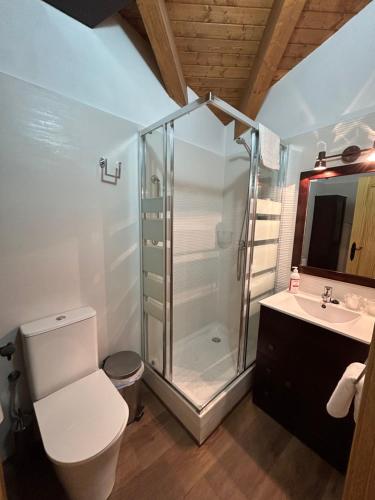 a bathroom with a shower and a toilet and a sink at El Mondalindo, Acogedor apartamento mirador in Lozoyuela