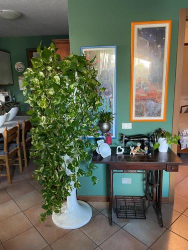 a plant in a white vase next to a table at Il giardino di Emilia - Intero appartamento in villa con giardino privato e piscina estiva in Pontirolo Nuovo