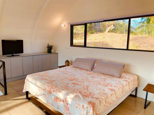 a bedroom with a bed and a tv and two windows at La Casa del Colibri in Concepción