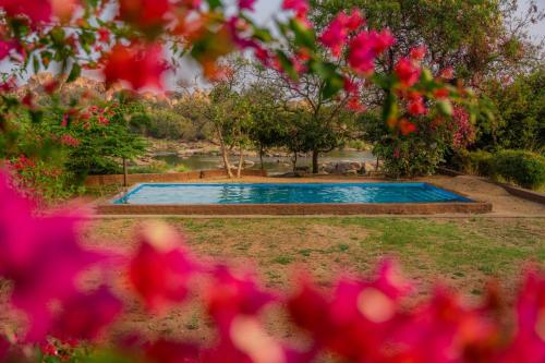 a swimming pool in a garden with red flowers at Leo Woods Hampi River view in Hampi