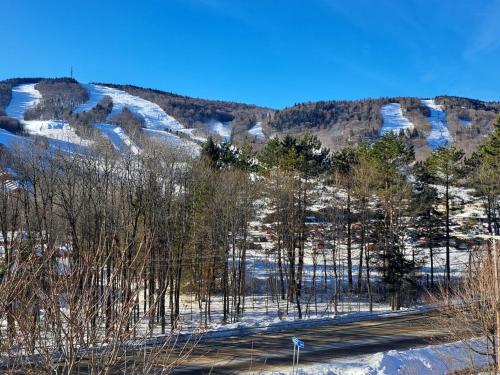 a snow covered hill with trees and a road at Superbe condo face aux pentes de ski Stoneham!!! in Stoneham