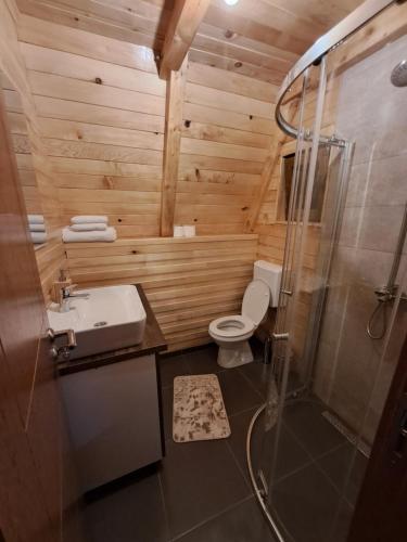uma casa de banho com um WC, um lavatório e um chuveiro em Wooden cottages "KONAK" em Šavnik