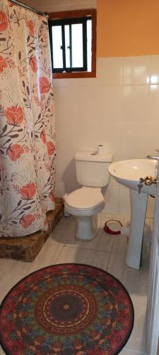 Vonios kambarys apgyvendinimo įstaigoje Casa con orilla de Rio ,Pucon