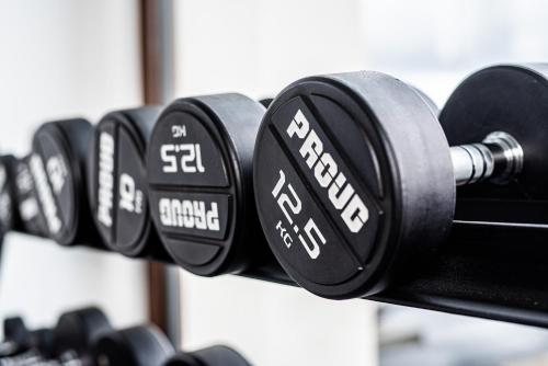a row of black dumbbells on a rack at Apartamenty Belni Hel Edyta i Maciej Wolak in Hel