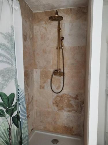a shower with a shower head in a bathroom at Petite maison troglodyte in Le Grand-Pressigny