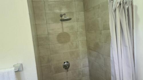 a shower with a shower head and a shower curtain at Lagoon Rd Unit 4 in DʼArbeau