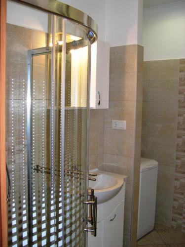 a bathroom with a shower and a sink at Wiener Garden 40 in Győr