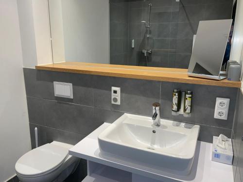 a bathroom with a sink and a toilet and a mirror at Hotel Lindenhof in Erkelenz