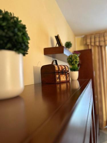 a wooden counter with plants and a briefcase on it at Casa Ancá Los Abuelos in Rute