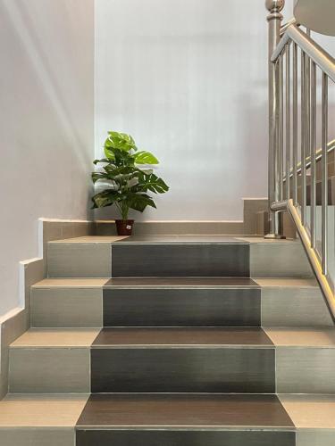 a potted plant on the stairs of a house at JJ&KK Homestay in Simpang