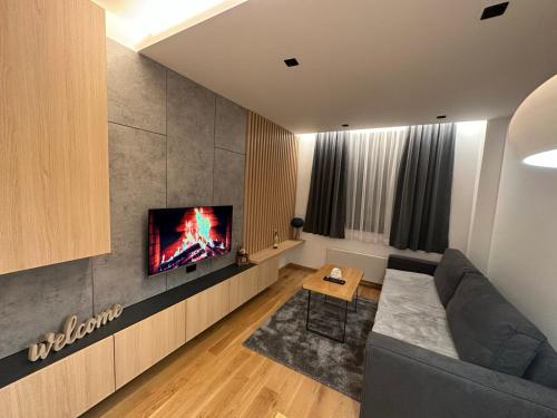 Μια τηλεόραση ή/και κέντρο ψυχαγωγίας στο Apartman Pahulja 402 - Zlatni Javor