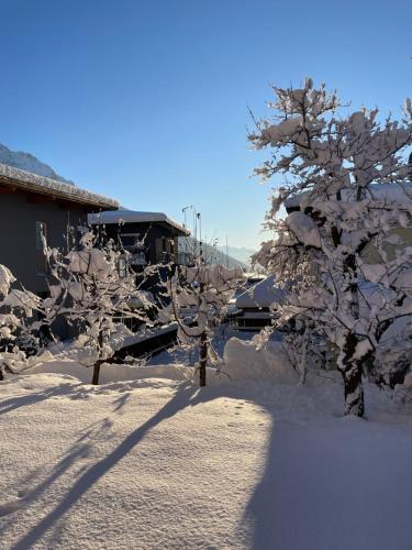 a group of trees covered in snow next to a building at Haus Hofer in Mieders