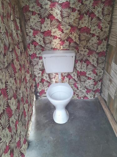 a white toilet in a room with a wallpaper at Glowing Mountain view tree house in Loanengo