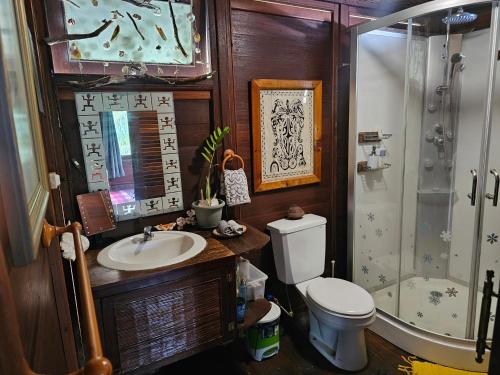 een badkamer met een toilet, een wastafel en een douche bij Chalet Avea in Parea